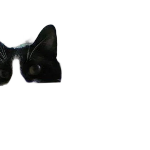mask, staff, animal, hat, 3d render, black, cat, white transparent PNG cut-out