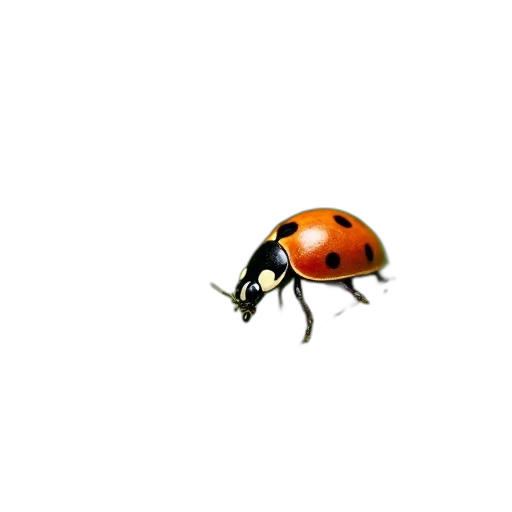 animal, creature, food, robot, 3d render, pixel art, concept art, photorealistic transparent PNG cut-out
