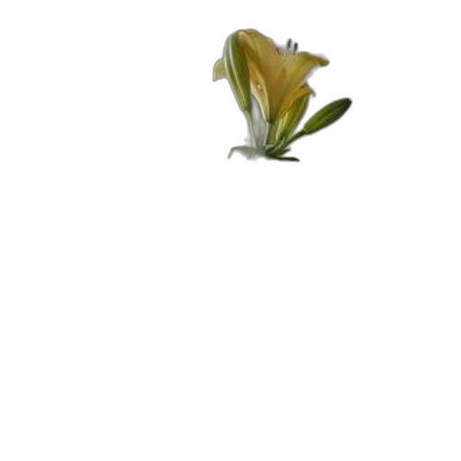 flower, crown, dragon, staff, photorealistic, 3d render, pixel art, concept art transparent PNG cut-out