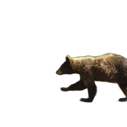 animal, creature, weapon, concept art, 3d render, photorealistic, pixel art, brown transparent PNG cut-out