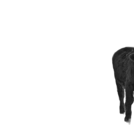 animal, creature, staff, hair, concept art, photorealistic, 3d render, pixel art transparent PNG cut-out