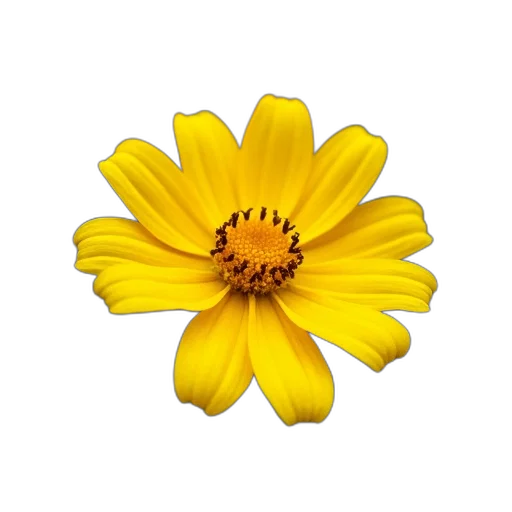 flower, crown, jewelry, staff, photorealistic, 3d render, pixel art, oil painting transparent PNG cut-out