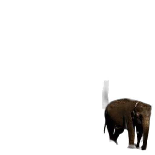 animal, creature, staff, weapon transparent PNG cut-out