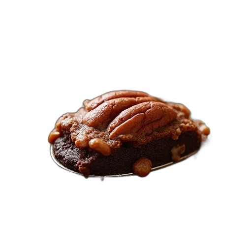 food, crown, animal, hair transparent PNG cut-out