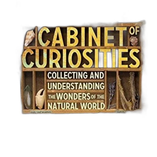 furniture, cover, cabinet, curiosities, collecting, understanding, wonders, natural transparent PNG cut-out