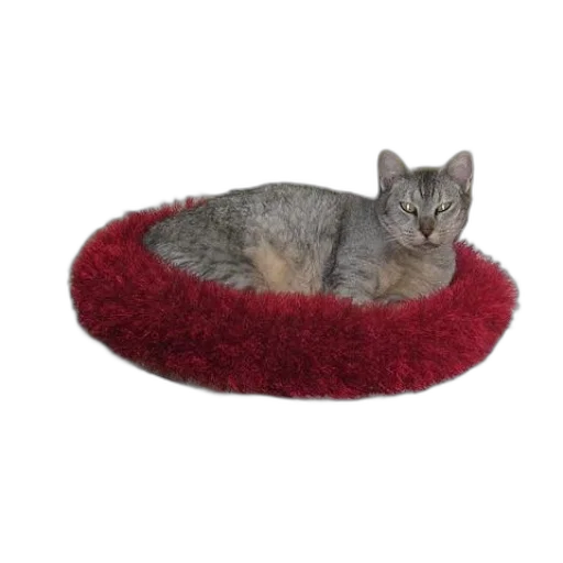 furniture, hat, animal, crown, red, grey, cat, sits transparent PNG cut-out