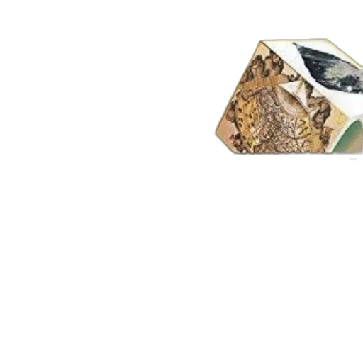 animal, hat, mask, shoes, photorealistic, earth tones, cover, basics transparent PNG cut-out