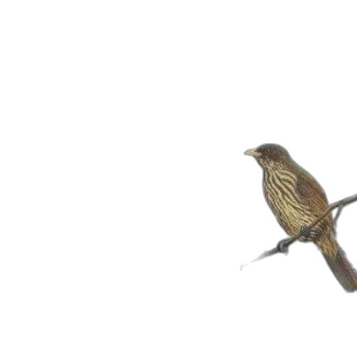 animal, staff, weapon, creature, 3d render, photorealistic, concept art, watercolor transparent PNG cut-out