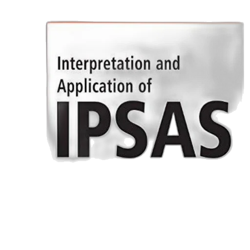 interpretation, application, ipsas, caroline, aggestam-pontoppidan, isabelle, andernack, presented transparent PNG cut-out