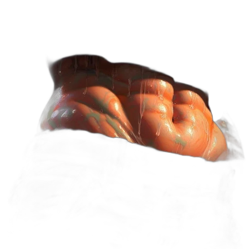food, shoes, creature, dragon, photorealistic, 3d render, concept art, oil painting transparent PNG cut-out