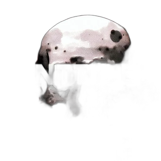 mask, umbrella, face, hat, watercolor, concept art, photorealistic, 3d render transparent PNG cut-out