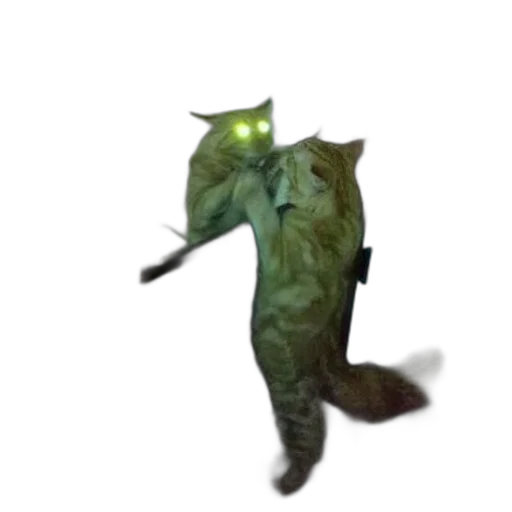 creature, dragon, animal, staff, 3d render, concept art, cat, glowing transparent PNG cut-out