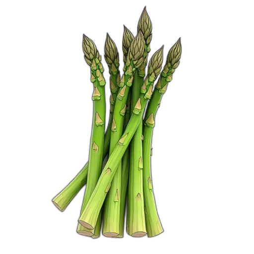 food, weapon, staff, crown transparent PNG cut-out