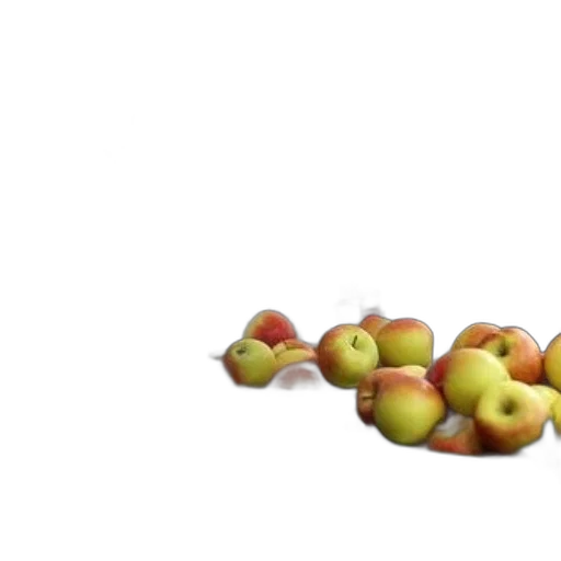food, crown, weapon, tree, 3d render, photorealistic, concept art, earth tones transparent PNG cut-out