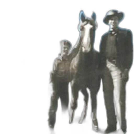 hat, animal, concept art, photorealistic transparent PNG cut-out