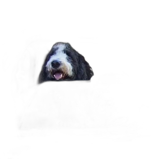 animal, creature, face, staff, photorealistic, pixel art, 3d render, oil painting transparent PNG cut-out