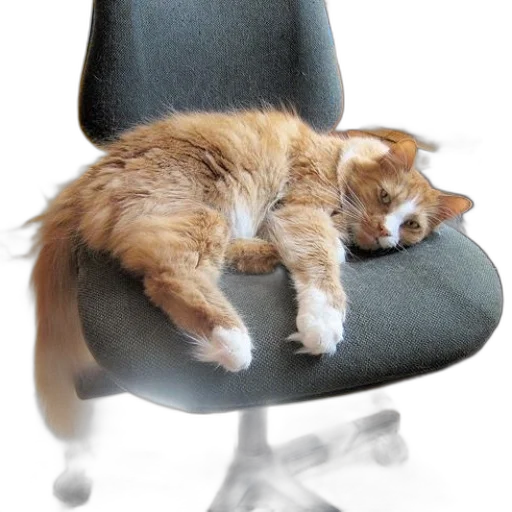 staff, furniture, animal, photorealistic, 3d render, fluffy, orange, cat transparent PNG cut-out