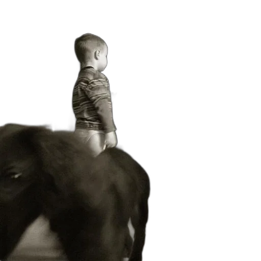 animal, creature, photorealistic, concept art, forest, black, white, photo transparent PNG cut-out