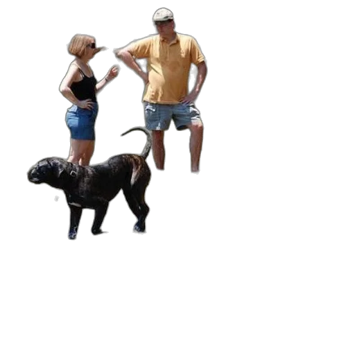 animal, creature, hat, staff, 3d render, concept art, photorealistic, pixel art transparent PNG cut-out