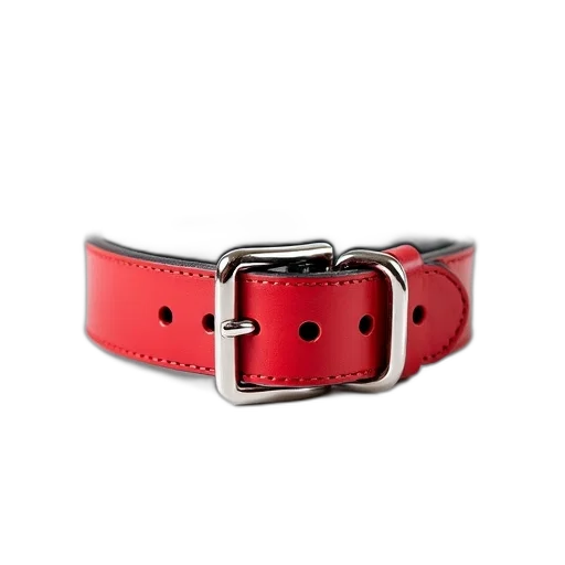 jewelry, crown, staff, 3d render, red, leather, dog, collar transparent PNG cut-out