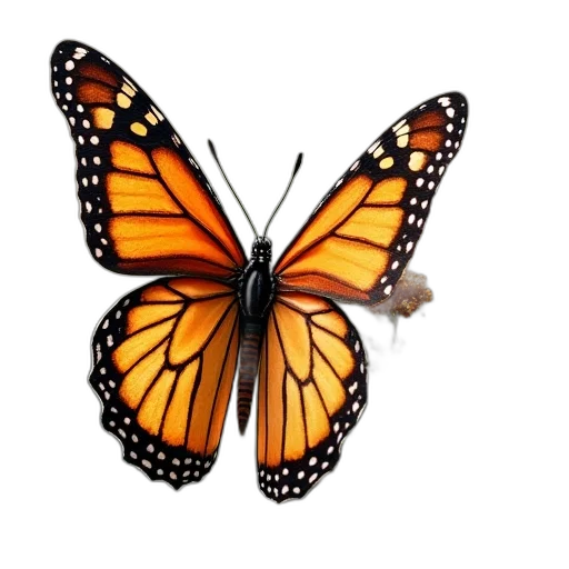 animal, crown, jewelry, creature transparent PNG cut-out