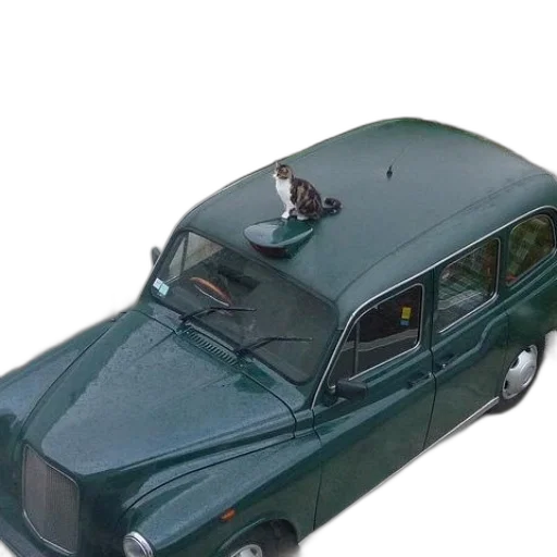 car, 3d render, photorealistic, cat, sits, roof, green, front transparent PNG cut-out