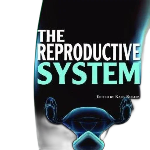 cover, reproductive, system, human, body, series, featuring, green transparent PNG cut-out