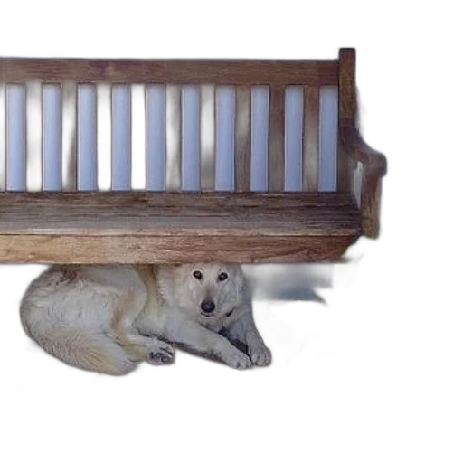 furniture, animal, creature, photorealistic, 3d render, concept art, dog, lying transparent PNG cut-out