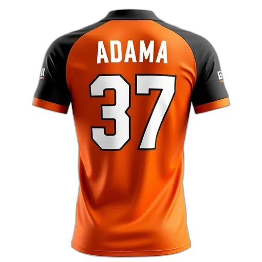 close-up, sports, jersey, name, adama, number, back, predominantly transparent PNG cut-out