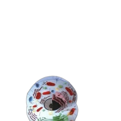 umbrella, hat, bottle, food, 3d render, concept art, photorealistic, watercolor transparent PNG cut-out
