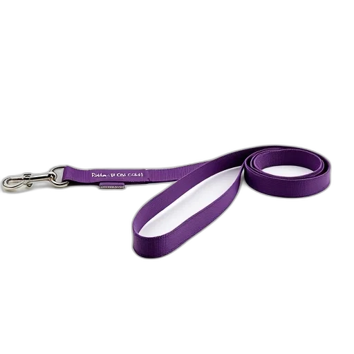 staff, jewelry, weapon, hair, purple, dog, leash, silver transparent PNG cut-out