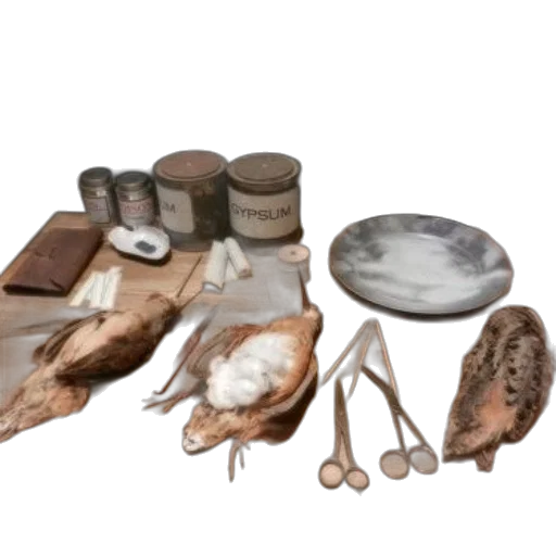 jewelry, food, furniture, mask, concept art, 3d render, photorealistic, forest transparent PNG cut-out