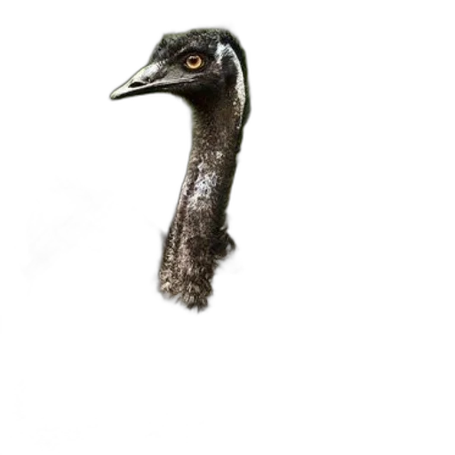 animal, staff, creature, mask, photorealistic, 3d render, concept art, close-up transparent PNG cut-out