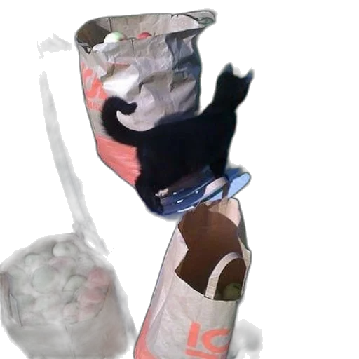 bottle, umbrella, food, weapon, vaporwave, 3d render, concept art, photorealistic transparent PNG cut-out