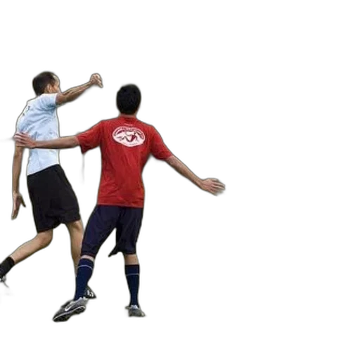 staff, two, men, playing, frisbee, grassy, field, trees transparent PNG cut-out