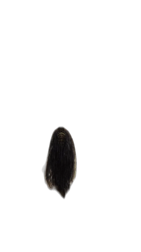 hair, hat, staff, crown transparent PNG cut-out