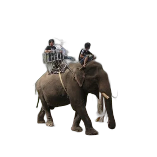 animal, creature, staff, car, concept art, 3d render, photorealistic, pixel art transparent PNG cut-out