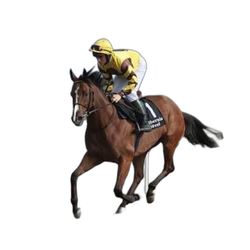 hat, animal, concept art, photorealistic, 3d render, jockey, yellow, white transparent PNG cut-out