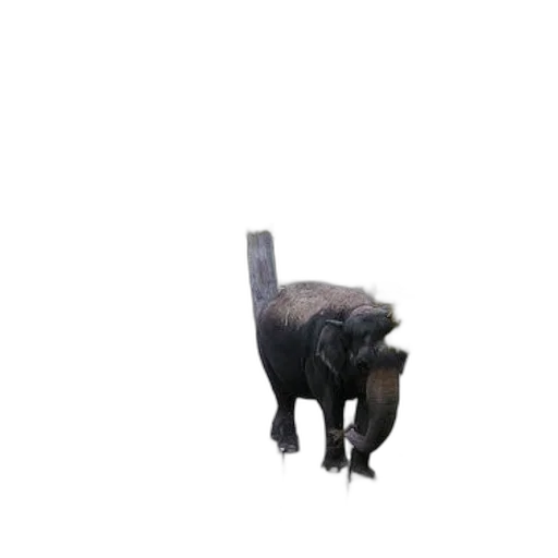 animal, creature, staff, robot, 3d render, concept art, photorealistic, pixel art transparent PNG cut-out