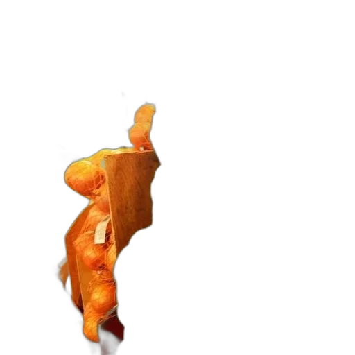 food, animal, dragon, weapon transparent PNG cut-out