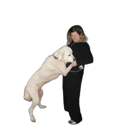 staff, animal, creature, jacket, photorealistic, woman, kitchen, large transparent PNG cut-out