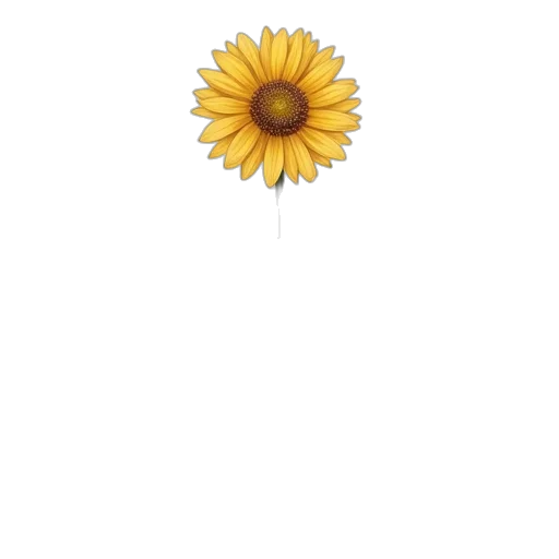 flower, crown, jewelry, dress transparent PNG cut-out
