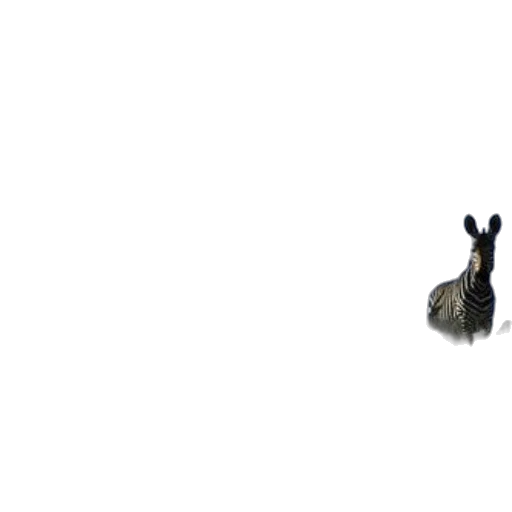 animal, creature, dragon, hair, pixel art, concept art, 3d render, photorealistic transparent PNG cut-out