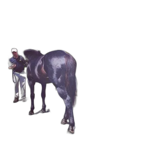 animal, creature, staff, weapon transparent PNG cut-out