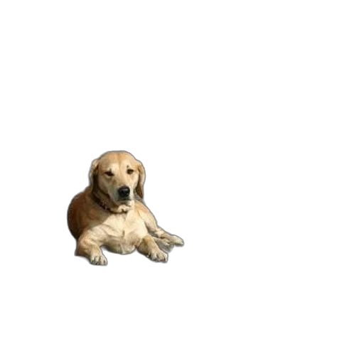 animal, creature, staff, food, pixel art, photorealistic, 3d render, concept art transparent PNG cut-out