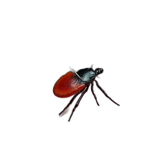 animal, creature, umbrella, hair, 3d render, concept art, photorealistic, pixel art transparent PNG cut-out