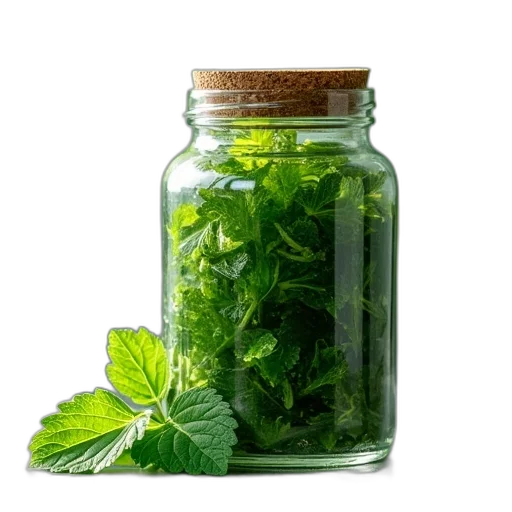 bottle, food, photorealistic, green, jar, filled, kelp, which transparent PNG cut-out