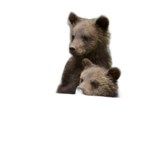animal, creature, furniture, staff, 3d render, pixel art, photorealistic, concept art transparent PNG cut-out