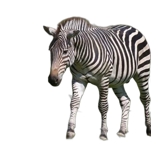 animal, creature, staff, weapon, 3d render, photorealistic, concept art, watercolor transparent PNG cut-out