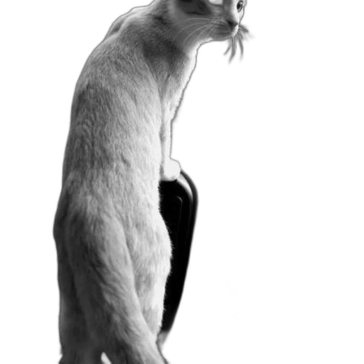 animal, staff, creature, dress, photorealistic, pencil sketch, concept art, monochrome transparent PNG cut-out